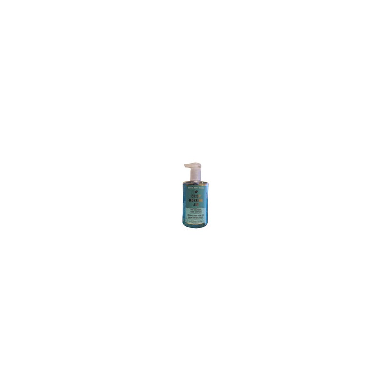 ANTIBACTERIAL Crisp Morning Air 225ml