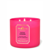 VELA Cactus Blossom 411g